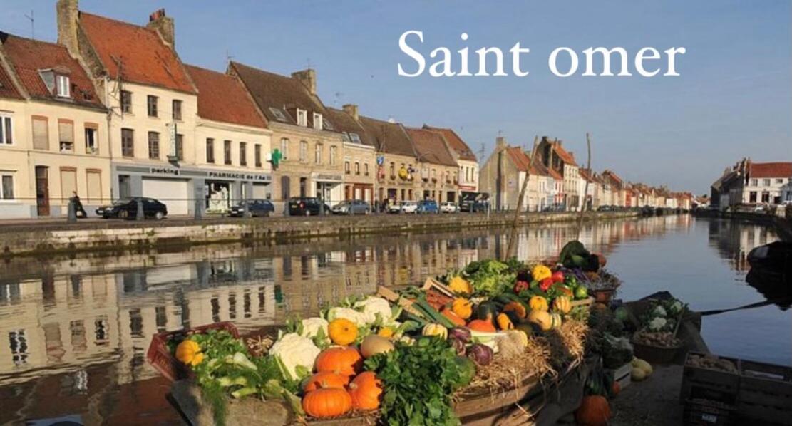 Saint-Martin-Lez-Tatinghem Le Clos Des Bambous מראה חיצוני תמונה